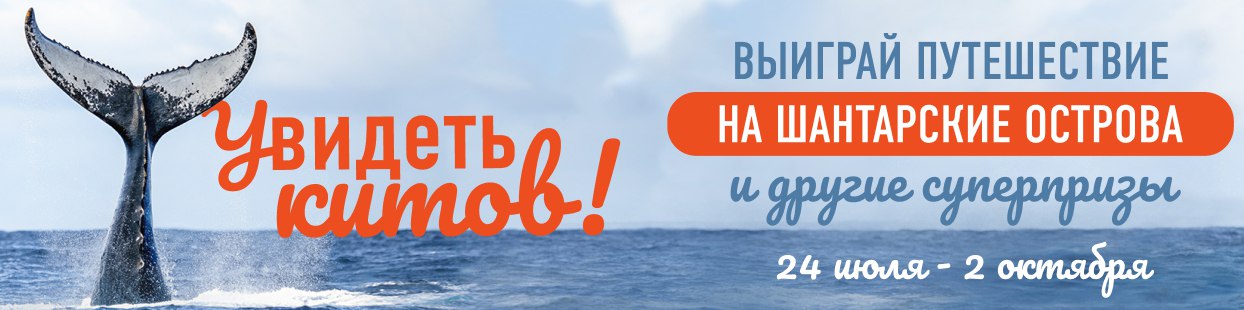 Увидеть китов со «Столичным»? Осуществимо! 