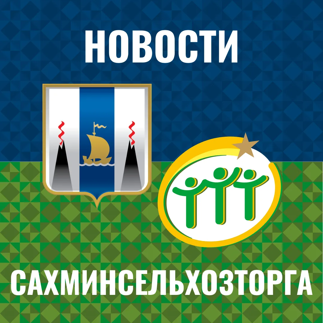 На Сахалин прилетело более 80 тысяч суточных цыплят