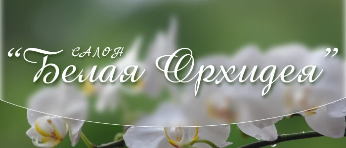 СПА Белая орхидея